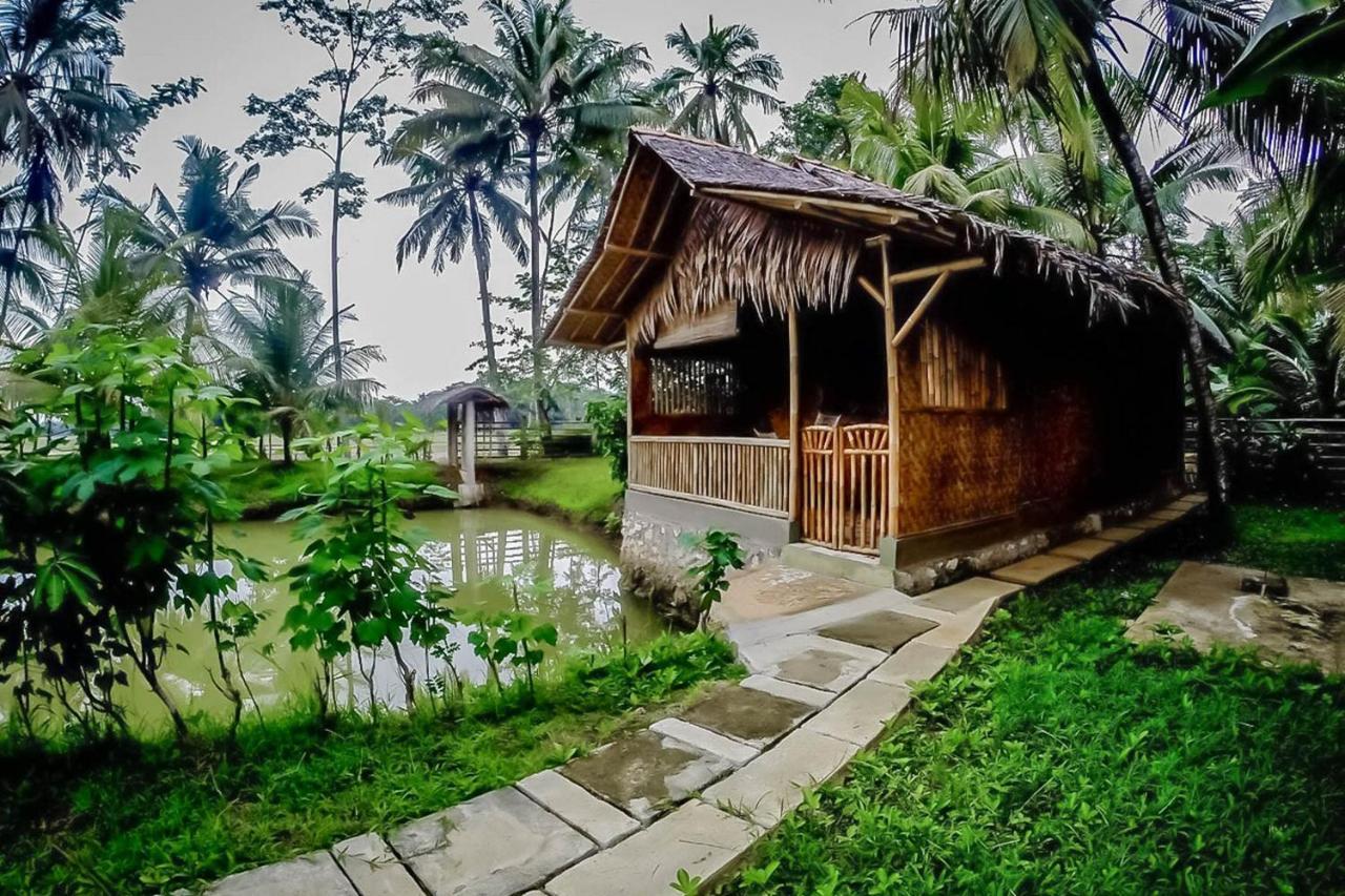 Baleku Bamboo Retreat Ξενοδοχείο Pangandaran Εξωτερικό φωτογραφία